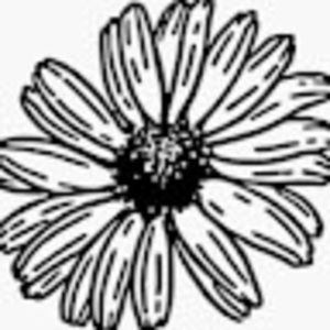 Meet your Posher, Daisy